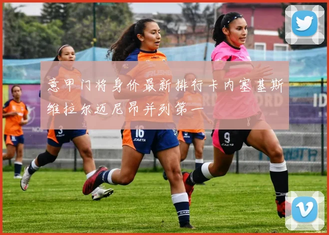意甲门将身价最新排行卡内塞基斯维拉尔迈尼昂并列第一